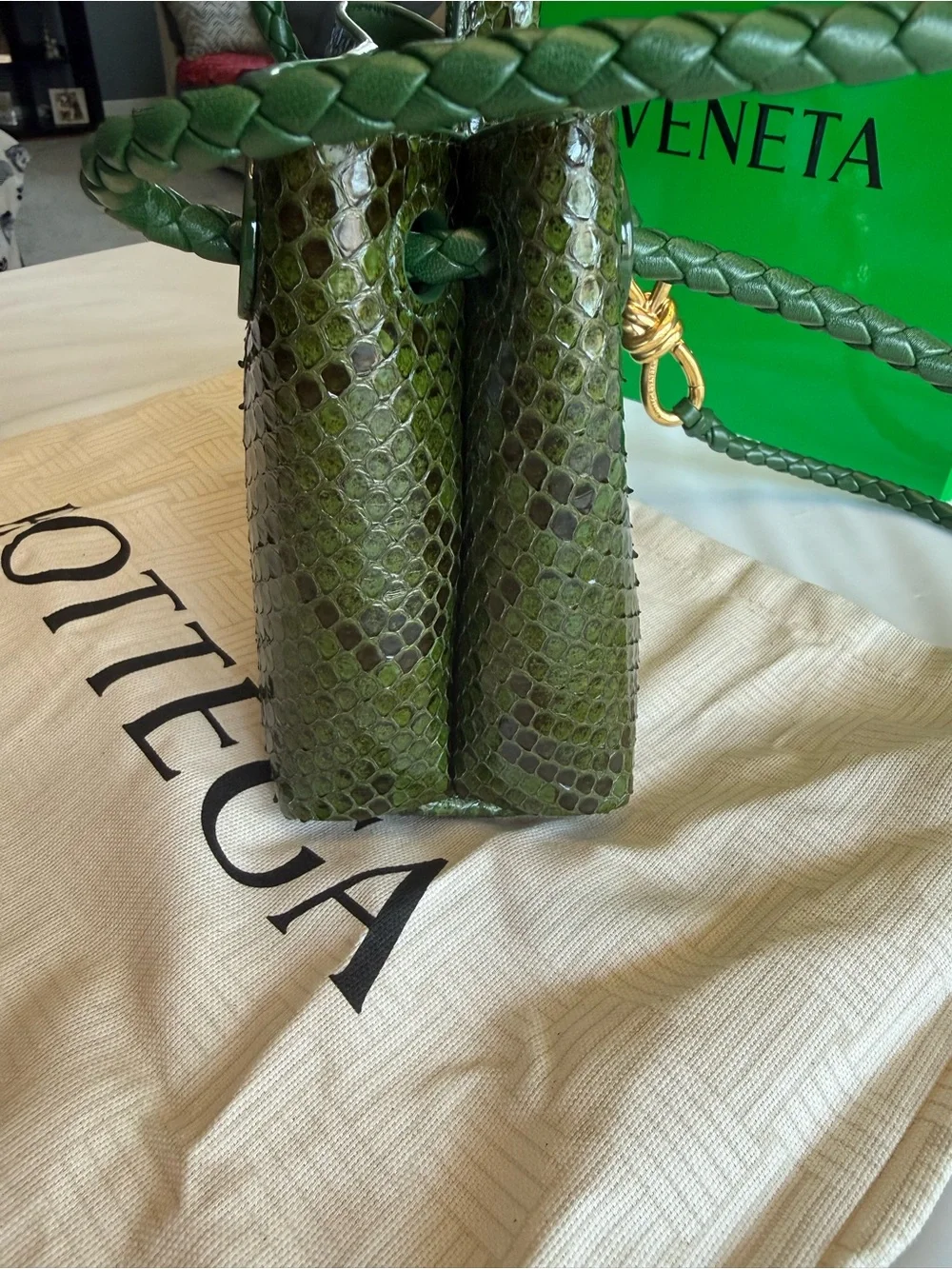 Bottega Veneta Green Python Bag Rare Only 15 made NEW Milan - unavailable in US